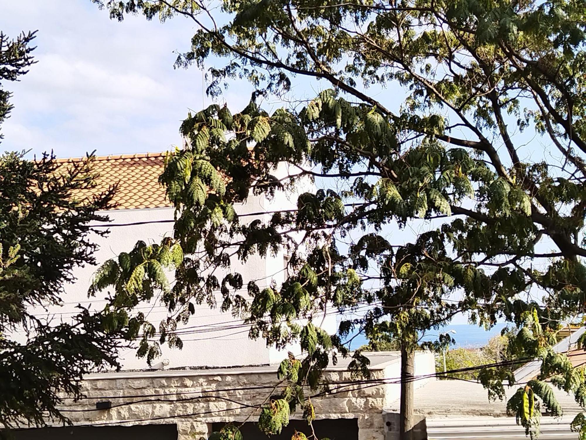 Guest House Yanita Varna Chambre photo